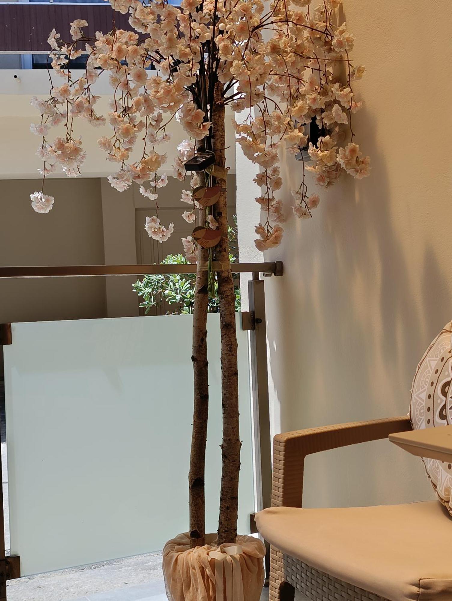Apolafsi Apartments 2 New With Kitchen Chania  Bagian luar foto